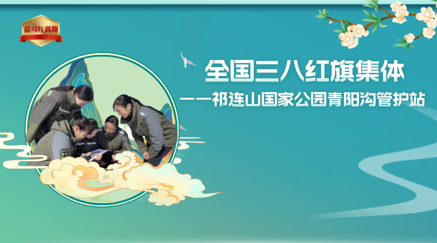 雨水24节气图文风横版海报__2025-07-31+16_49_42.jpg