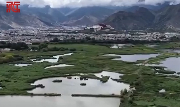 联想截图_20250730145234.png